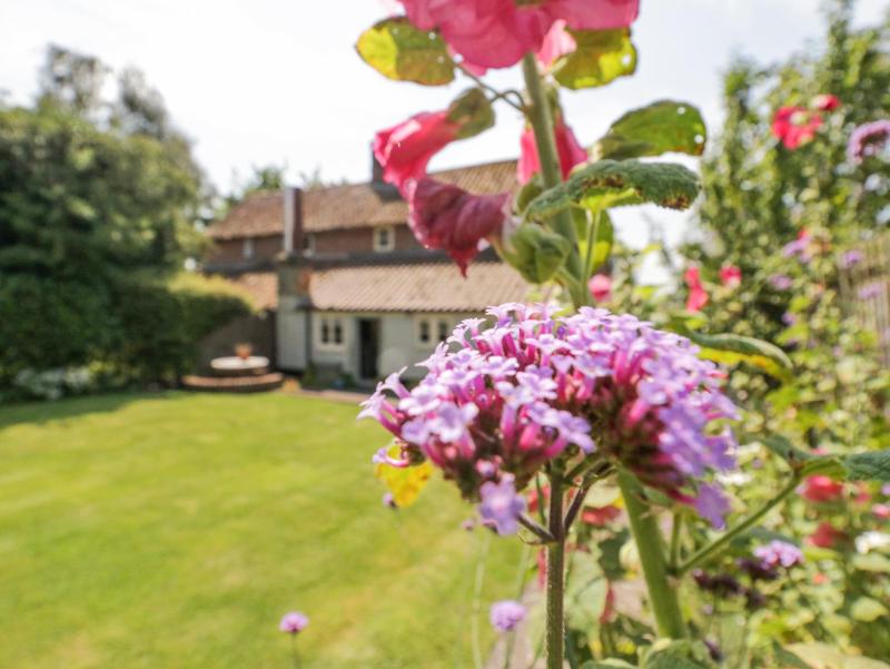 Shoemakers Cottage Friston - image 38