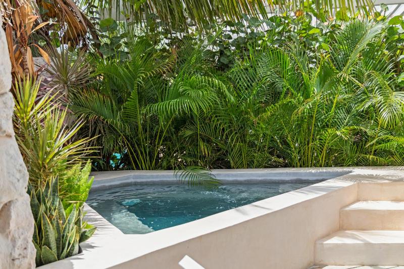 Exclusive Villa - Private Pool - Vredenberg Village - image 4