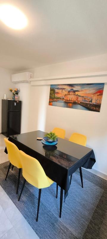 Apartman Berlin Sokobanja - image 14