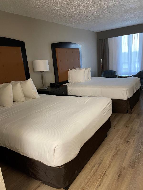Standard Double Room image 4