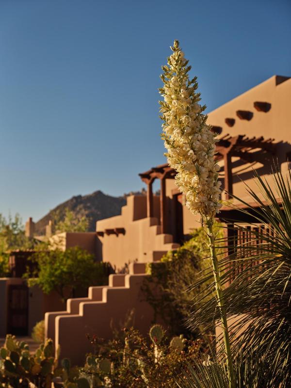 Four Seasons Resort Scottsdale at Troon North - image 8