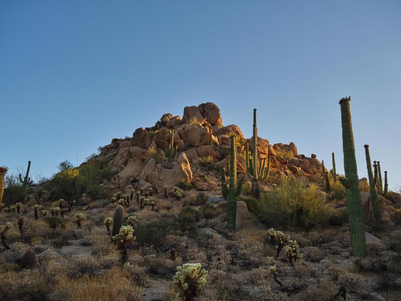 Four Seasons Resort Scottsdale at Troon North - image 39