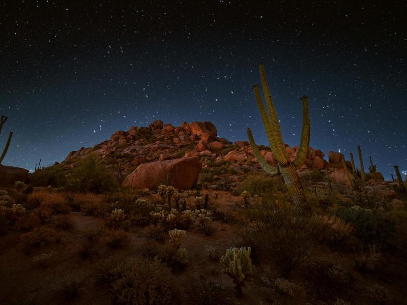 Four Seasons Resort Scottsdale at Troon North - image 46