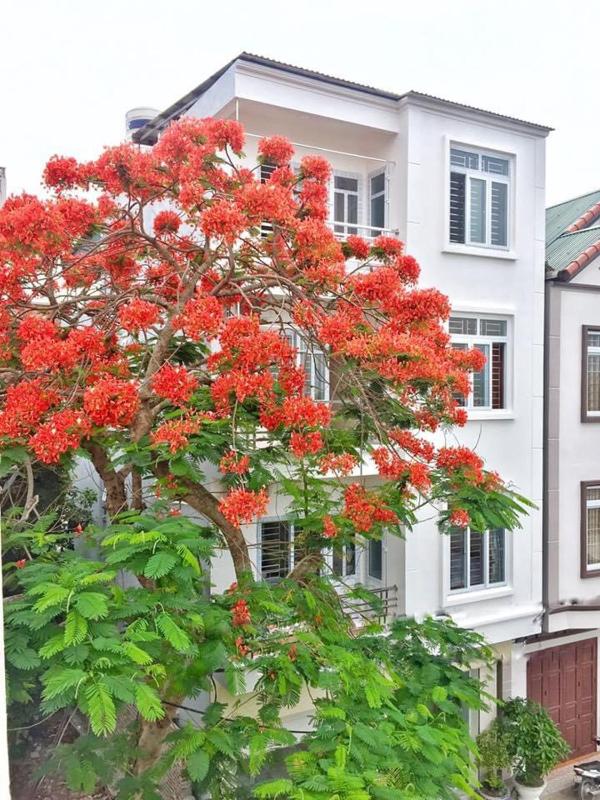 khách sạn Tuân Thủy đảo Quan Lạn Images