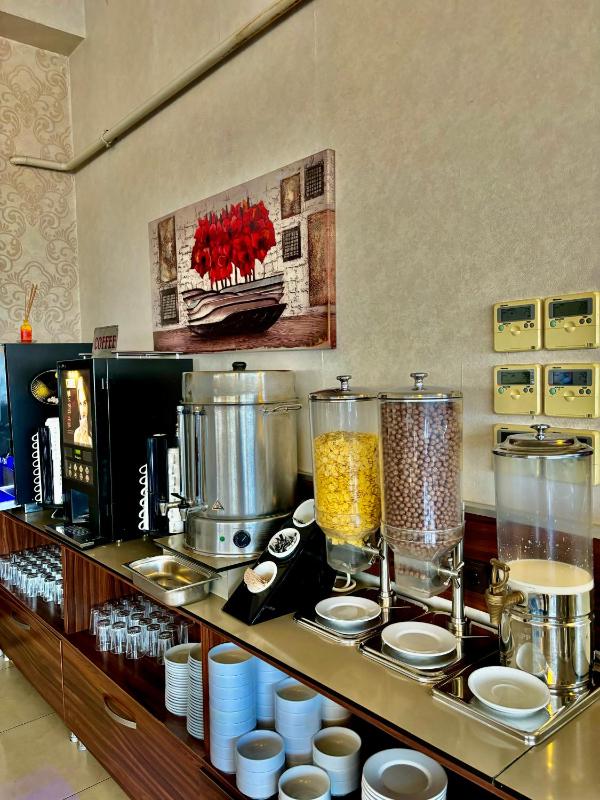 Gold Hotel - image 13