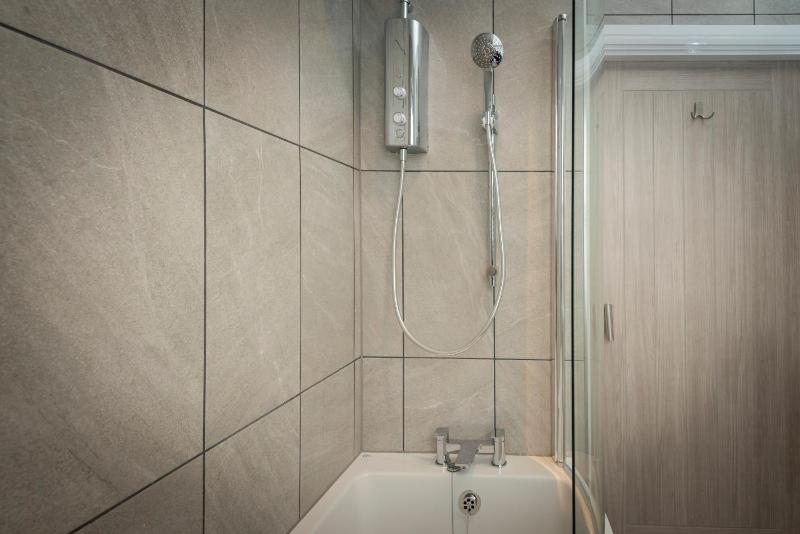 One-Bedroom Apartment image 3