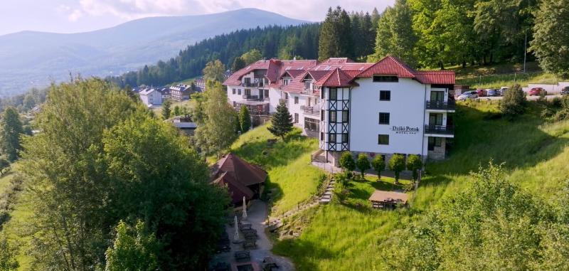 Hotel Dziki Potok Karpacz - image 45