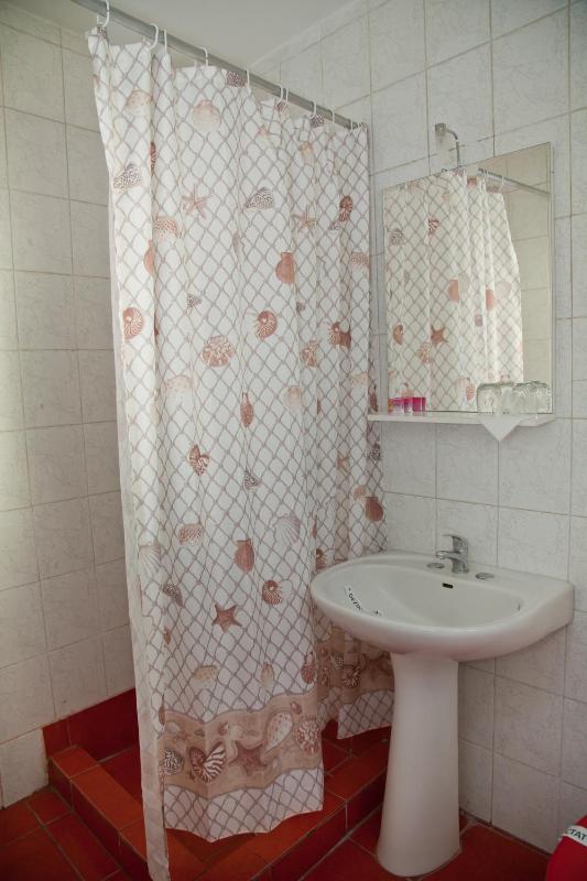 Double or Twin Room image 4