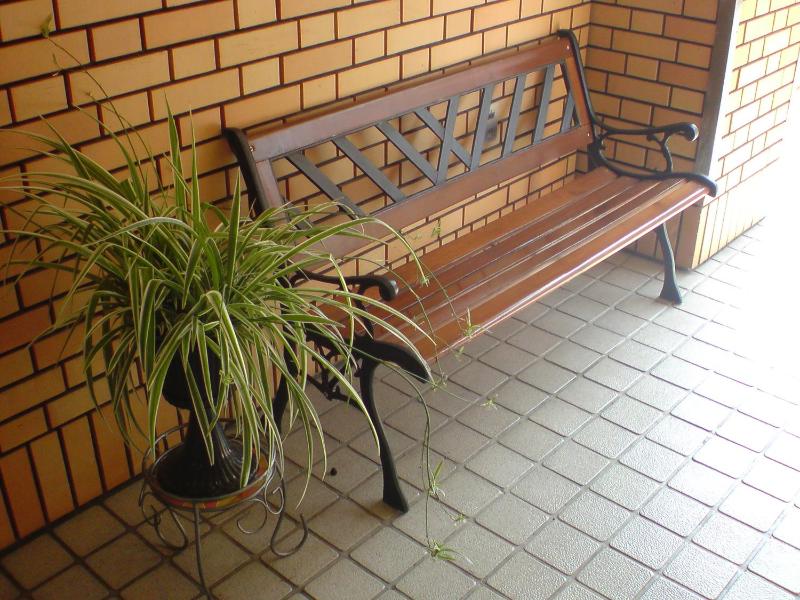 Ichijyo Ivy - image 5