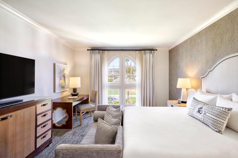 Resort  Room 1 King Bed image 3