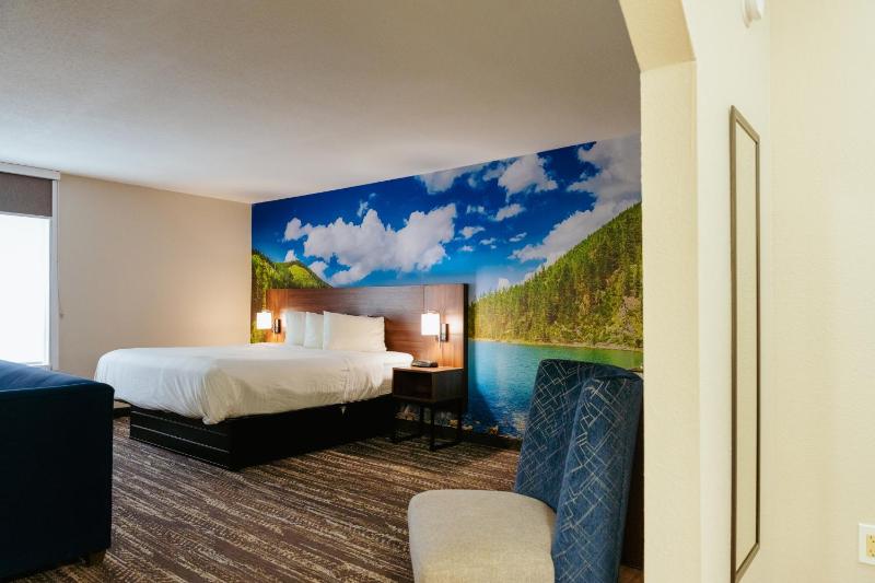 King Room - Accessible/Non Smoking image 3