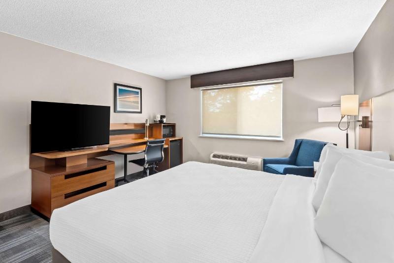 King Room - Mobility Accessible  image 3