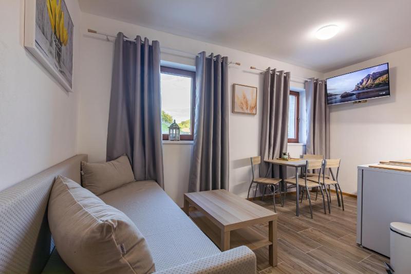 Deluxe One-Bedroom Apartment image 4