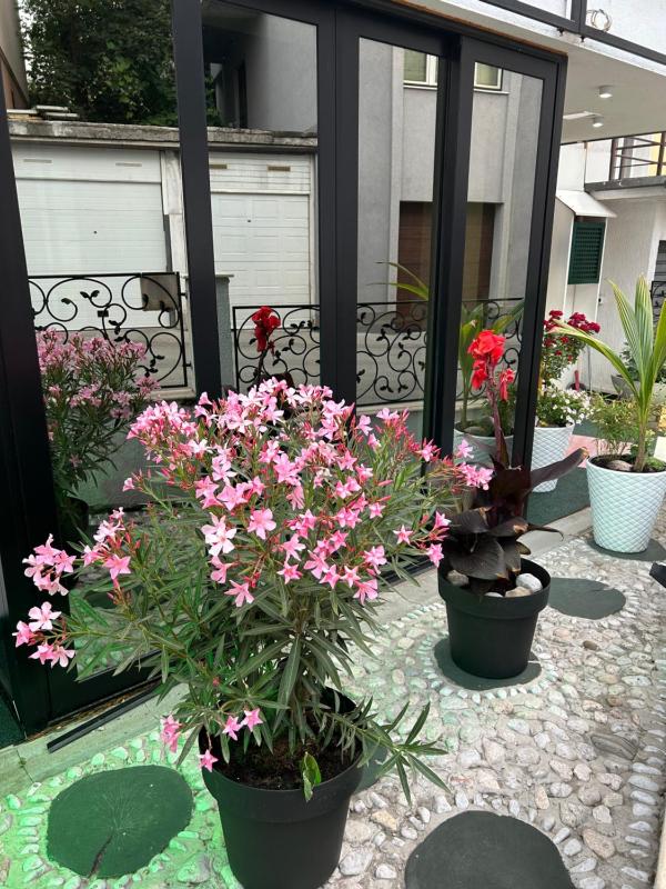 Single Room image 1