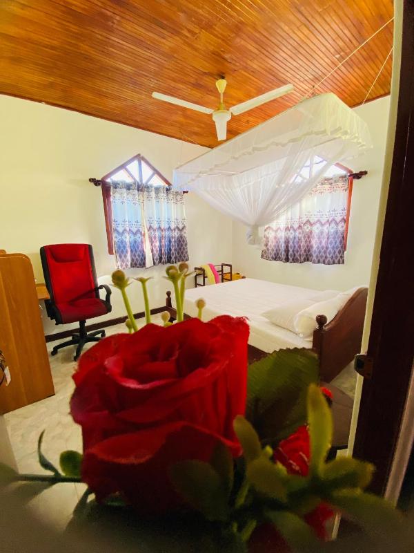 Alson Villa - image 12