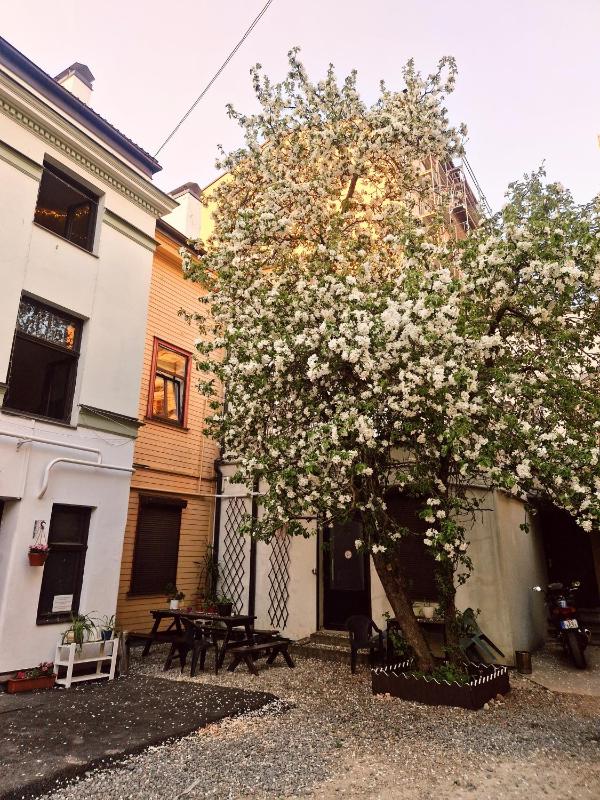 Central Hostel - image 16