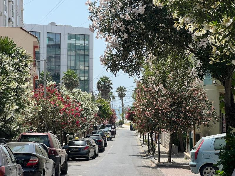 Durres Vintage Apartment - image 12
