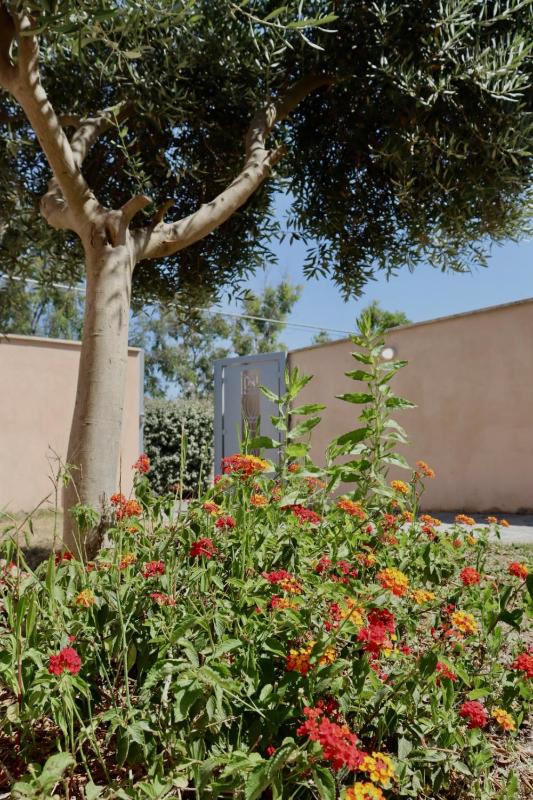 Quadruple Room image 4