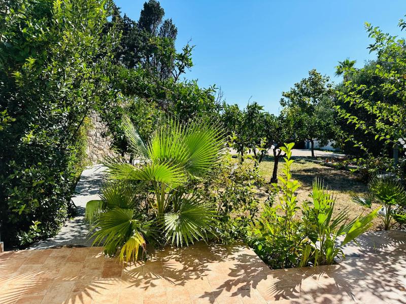 Hacienda Murter - image 9