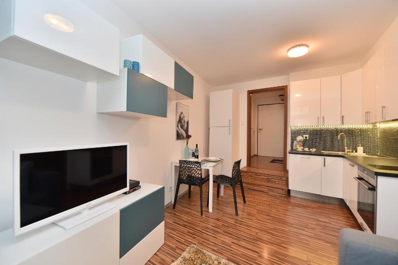One-Bedroom Apartment image 3