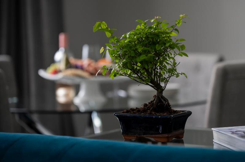 Two-Bedroom Apartment - Isla image 3