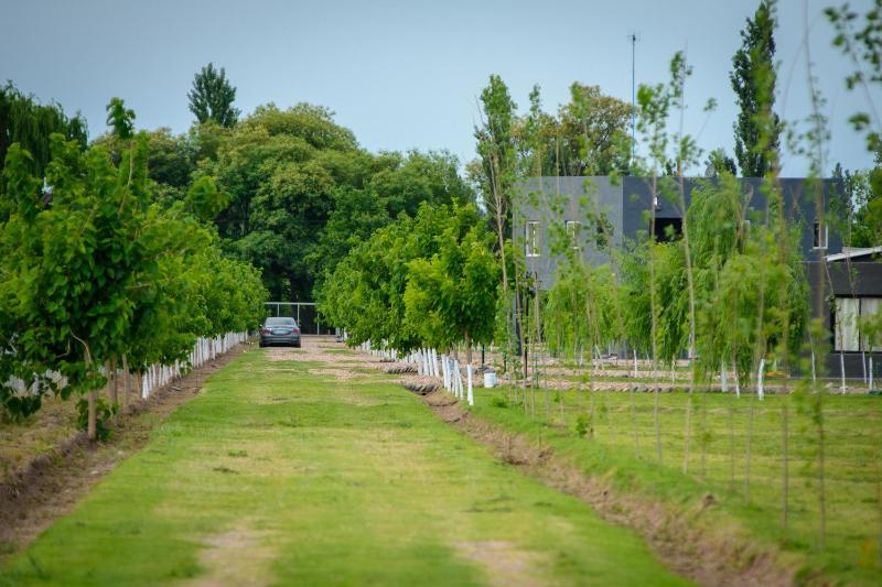 Cabañas Valle del Atuel -anterior Hontanares- - image 35