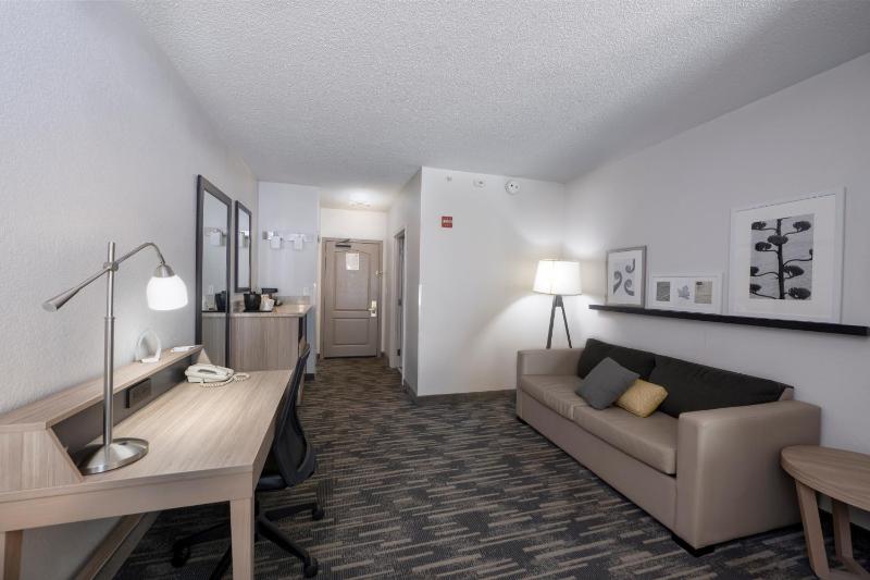 King Studio Suite image 4