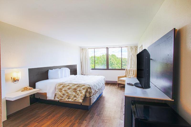 King Room - Non-Smoking image 2