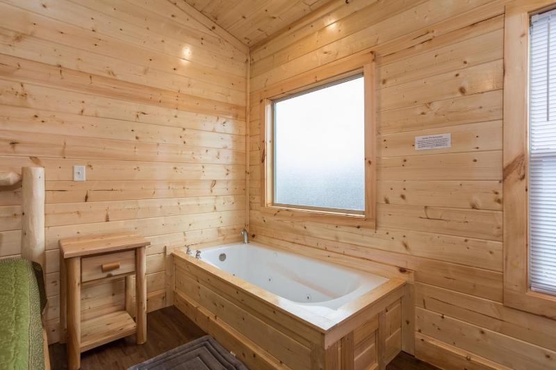 A View To Remember Indoor Pool Hot Tub Game Room Theater Room View Attraction Tickets - image 9