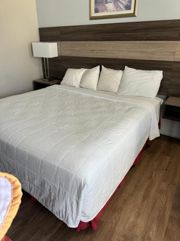 Standard Single Room image 2