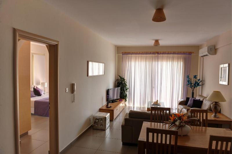 One-Bedroom Apartment image 3