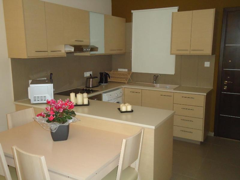 One-Bedroom Apartment image 1