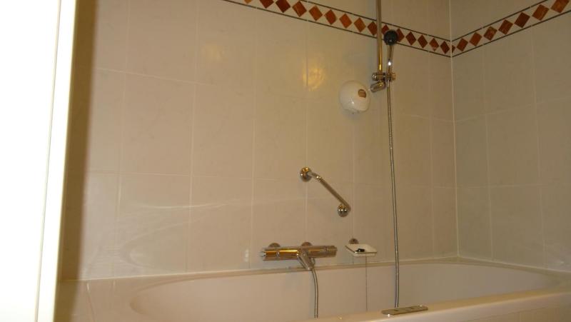 Deluxe Double Room image 3