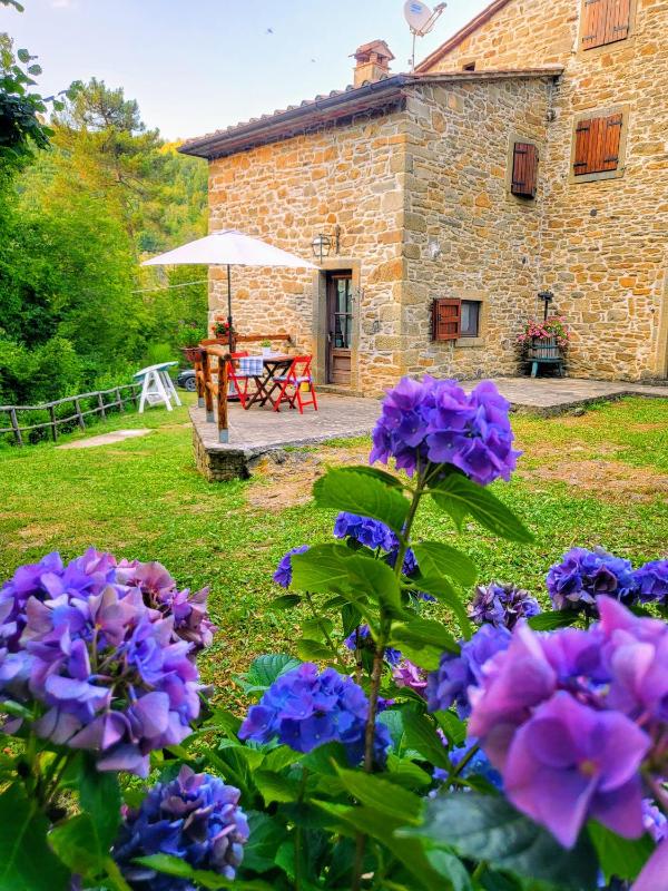 Appartamento in casa colonica " il Casale del Mulino" Images