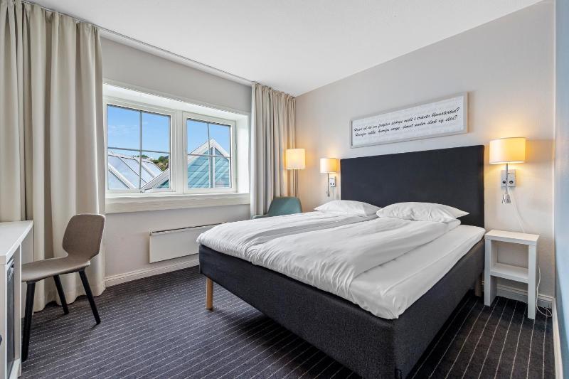 Compact Single Room image 1