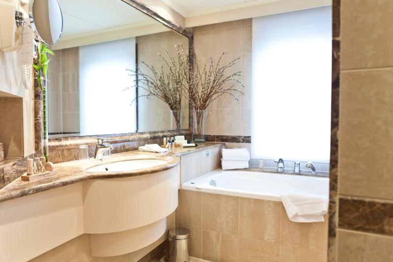 Ambassador Suite image 3