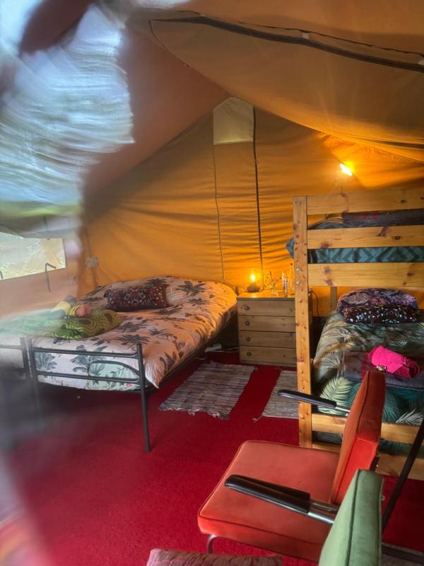 Tent (4 Adults) Lampetee- Safari image 2