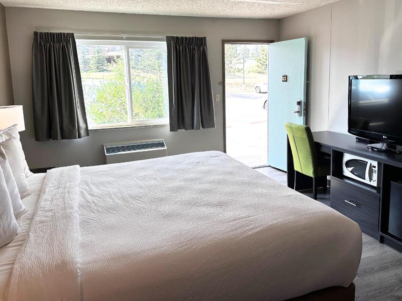 King Room Pet Friendly image 3