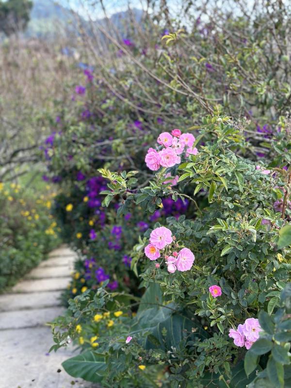 Ho May Garden Retreat - Moc Chau - image 4