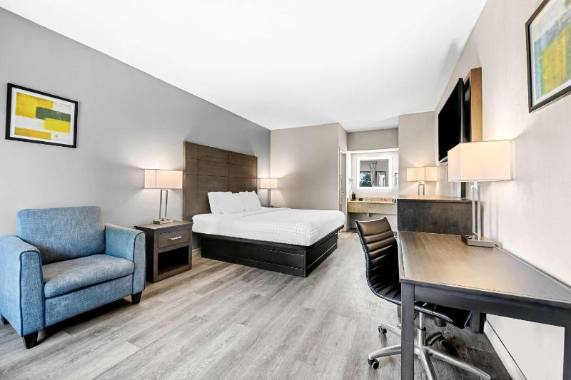 King Room - Pet Friendly/Non-Smoking image 3