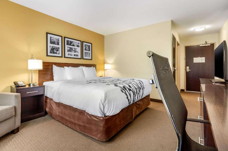 Standard King Room - Non-Smoking  image 4