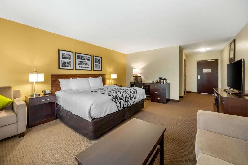 King Suite - Accessible/Non-Smoking image 4