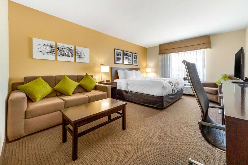 Standard King Room - Non-Smoking  image 1