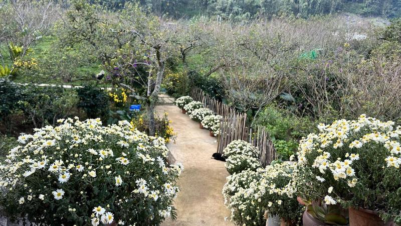 Ho May Garden Retreat - Moc Chau - image 49
