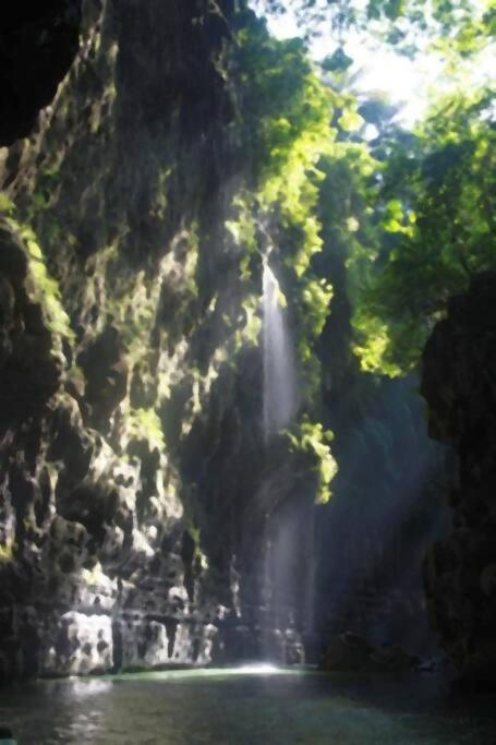 20 off Special Brilliant Location - image 6