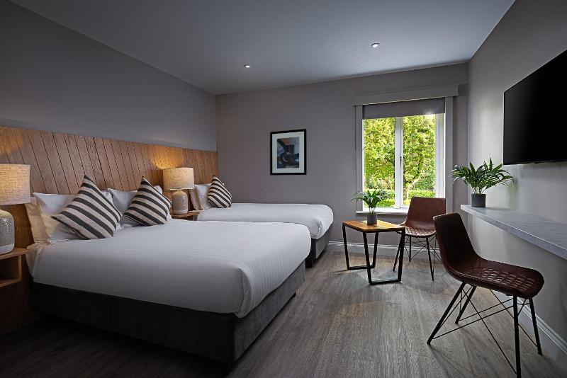 Standard Twin Room image 3