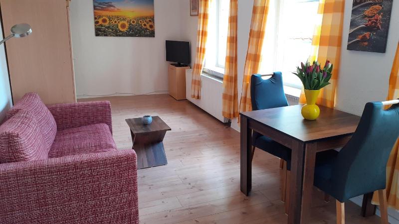 1-Zimmer-Apartment-2-Hochparterre - image 1