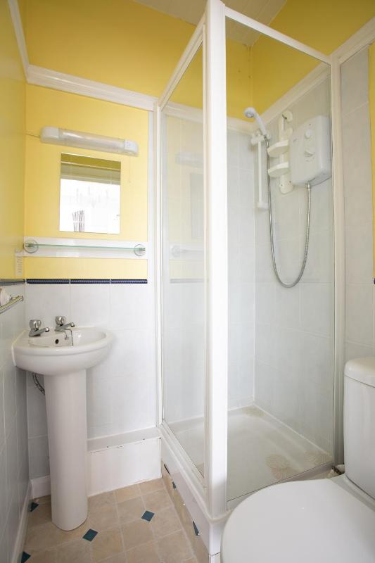 Standard Family Room image 4