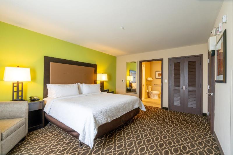 Standard King Room with Walk-In Shower image 3