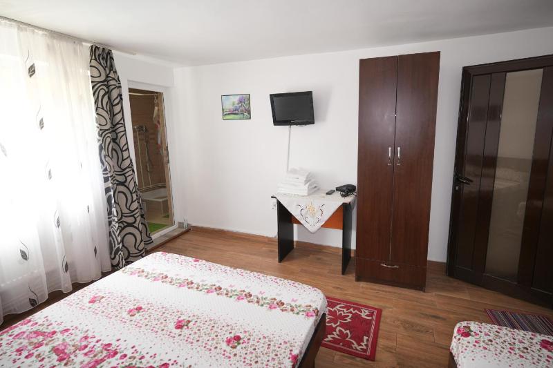 Comfort Triple Room with Shower image 3